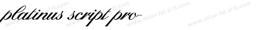 platinus script pro字体转换